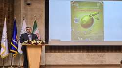 رویداد زیتون در گیلان